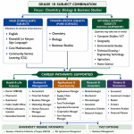 Grade 9 Subject Selection Guide: Chemistry, Biology and Business Studies Combination