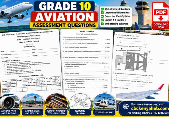 Grade 10 Aviation Assessment Flyer