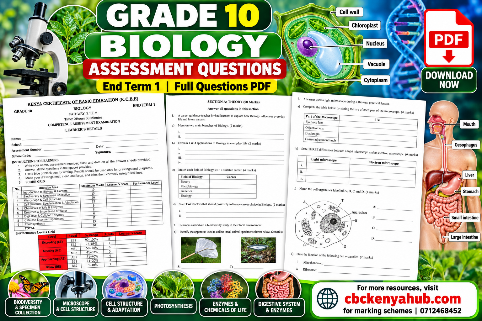 Grade 10 Biology Assessment PDF
