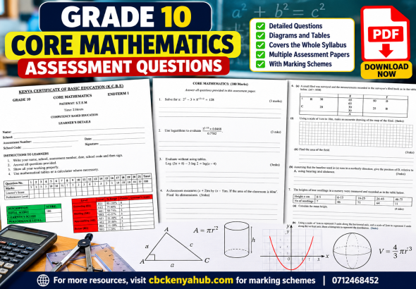 Grade 10 Mathematics Assessment PDF